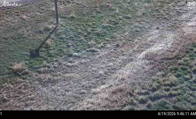 Hwy 4: South of Warner — West side of HWY