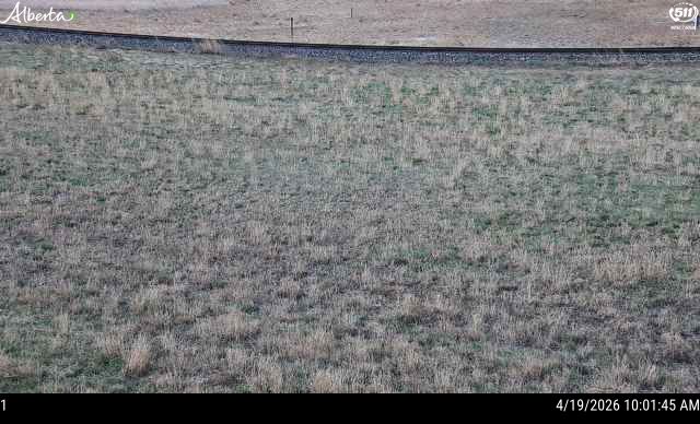 Hwy 4: South of Warner — West side of HWY