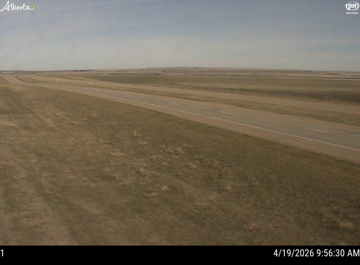 Hwy 4: North of Coutts — West side of HWY