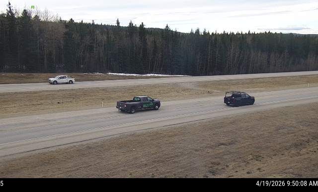 Hwy 16: Near Obed Summit — North side of HWY