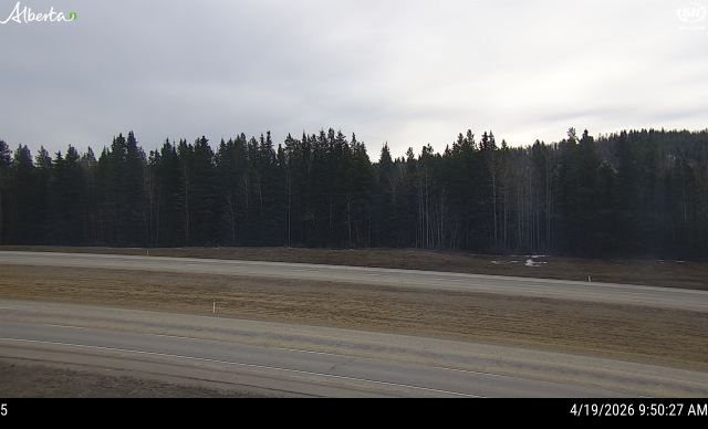 Hwy 16: Near Obed Summit — North side of HWY