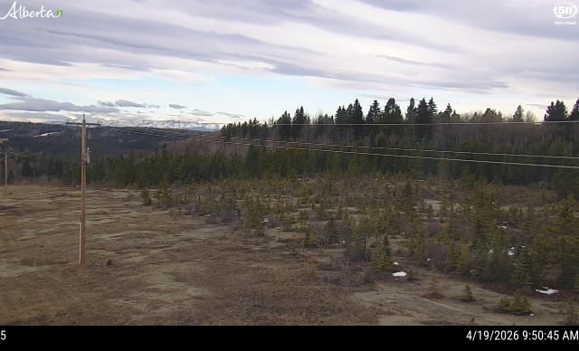 Hwy 16: Near Obed Summit — North side of HWY