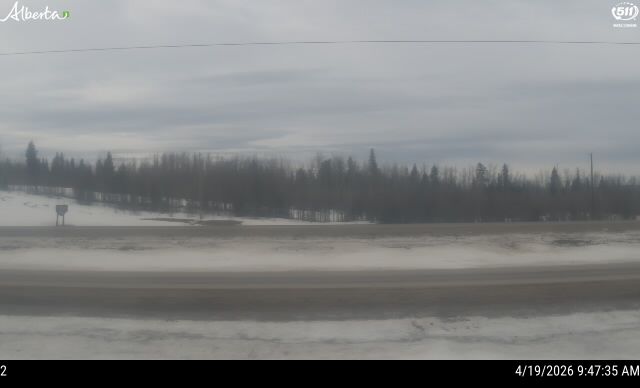 Hwy 43: East of Eagle Tower Road — North side of HWY