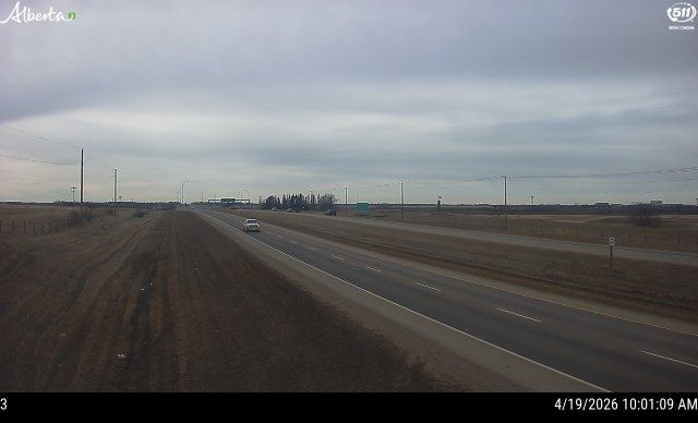 Hwy 21 North of Hwy 16 — East side of HWY