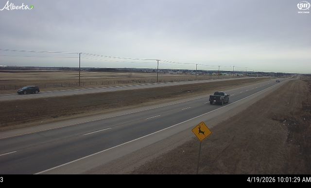 Hwy 21 North of Hwy 16 — East side of HWY