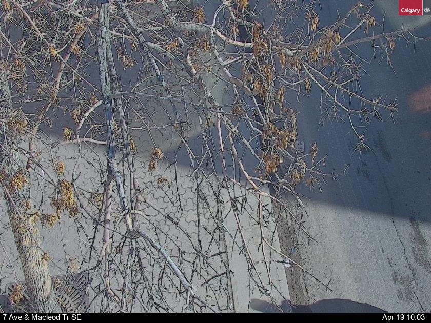 7 Ave / Macleod Tr SE — 7 Ave / Macleod Tr SE