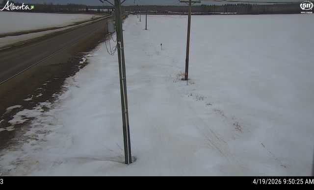 Hwy 88: 20km North of Fort Vermilion — East side of HWY